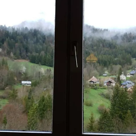 Le Bois Des Lievres