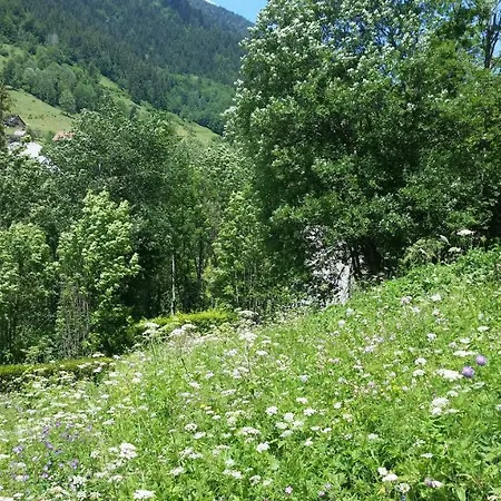 Le Bois Des Lievres Saint-Pierre-de-Chartreuse
